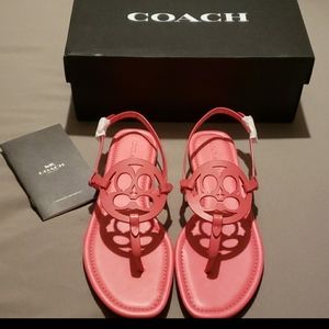 COACH sandals